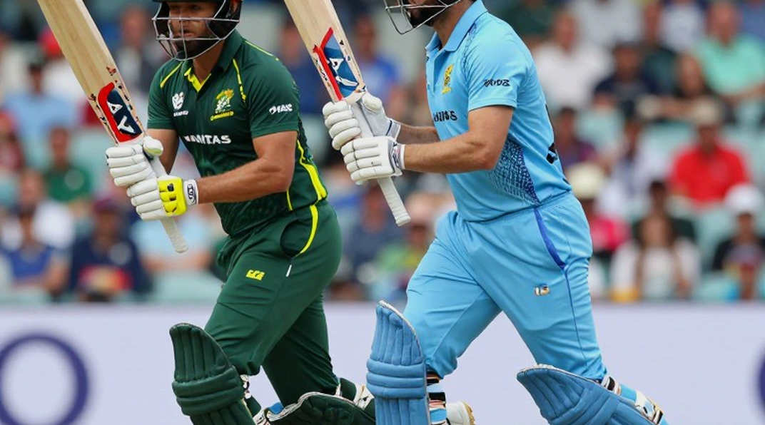 Hardik Pandya's Body and the 2027 World Cup: Auditing India's Single-Point Dependency Risk Hardik Pandya's Body and the 2027 World Cup: Auditing India's Single-Point Dependency Risk
