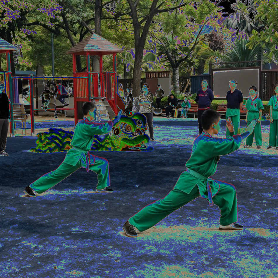 0.133: Duong Thuy Vi, Wushu Taolu, and the Tempo of a Farewell